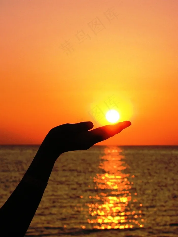 太阳，手，手指，光，夏天，沧海，红色，日落