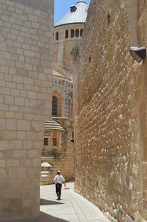 耶路撒冷，犹太人，玫瑰，胡同，圣