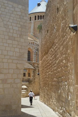 耶路撒冷，犹太人，玫瑰，胡同，圣