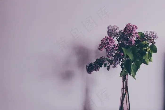花，花束，丁香，丁香，花的，盛开，束