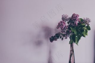 花，花束，丁香，丁香，花的，盛开，束