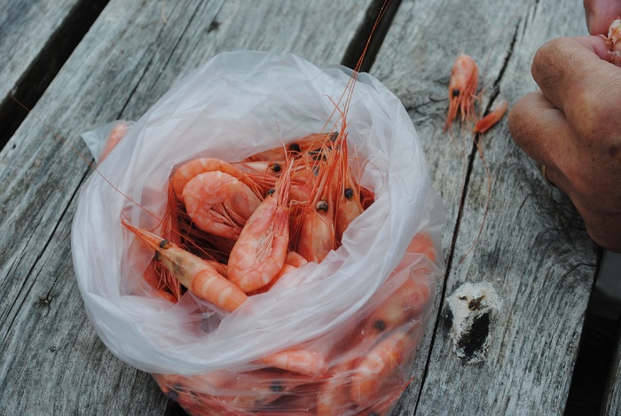 虾，菲舍尔，食品，美味，海鲜