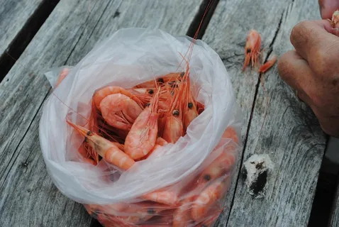 虾,菲舍尔,食品,美味,海鲜 虾,菲舍尔,食品,美味,海鲜