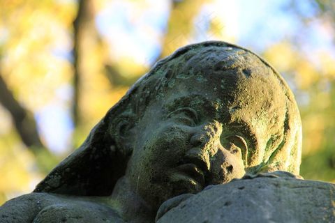 无花果，雕像，脸，头