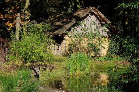 堡，木材，自然，森林，游泳池，芦苇，池塘