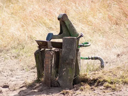 药水，水，马，牧场，水泵，喷泉