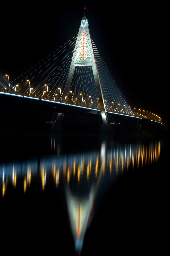 大桥，多瑙河，夜景图片，动物肺