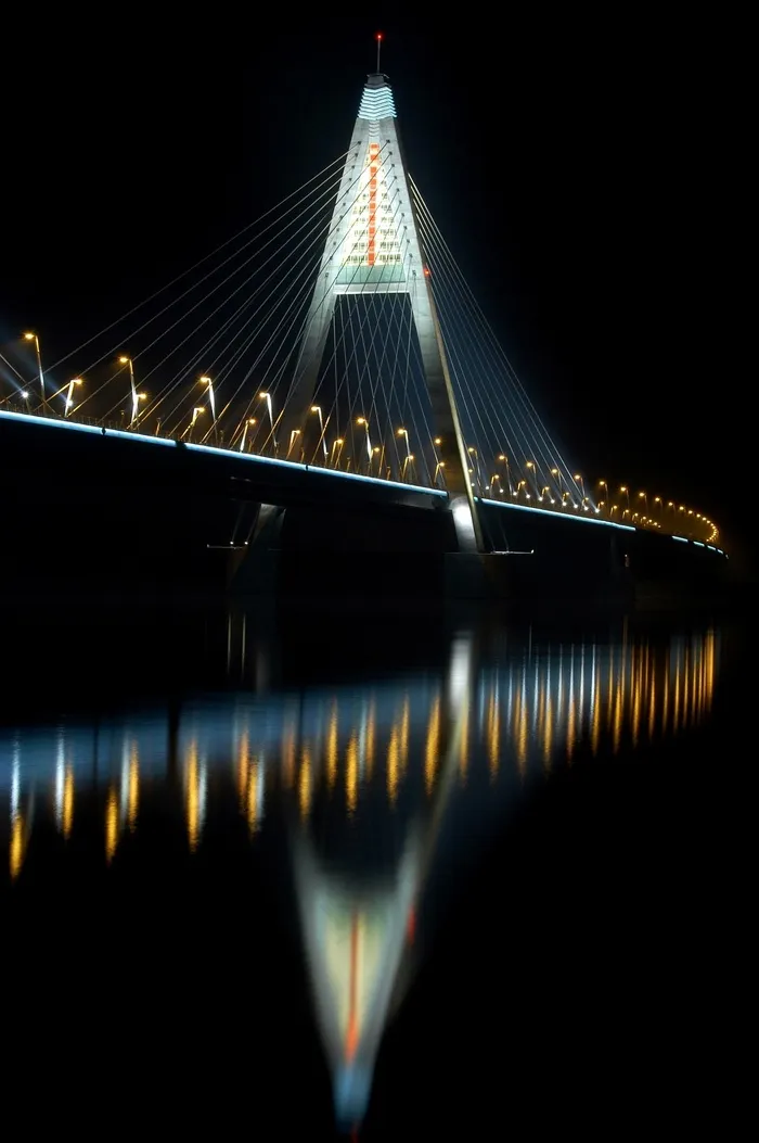 大桥，多瑙河，夜景图片，动物肺