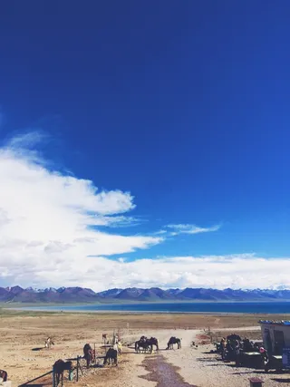 牧场，马匹，天空，国家，西方，马鞍，径