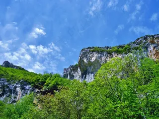 坠落的秋天，德龙，法国，三峡，翁布列兹