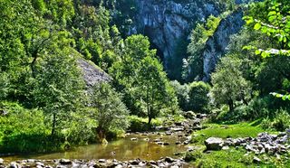 山，树木，河流，自然，景观，树木，森林