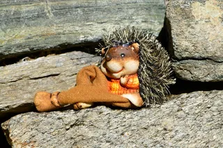 刺猬，无花果，玩具，娃娃