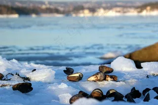 冰，冬天，弗罗斯特，冰背景，冬季背景