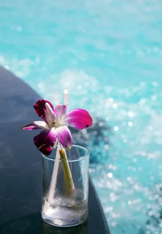 鲜花，休息，水，杯，水杯，稻草，池