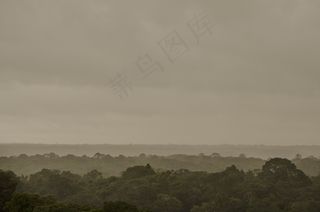 亚马逊，森林，植物群，巴西，树木，多云，自然
