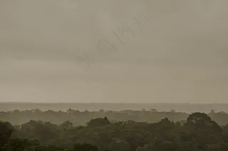 亚马逊，森林，植物群，巴西，树木，多云，自然