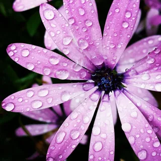 水，水滴，新鲜