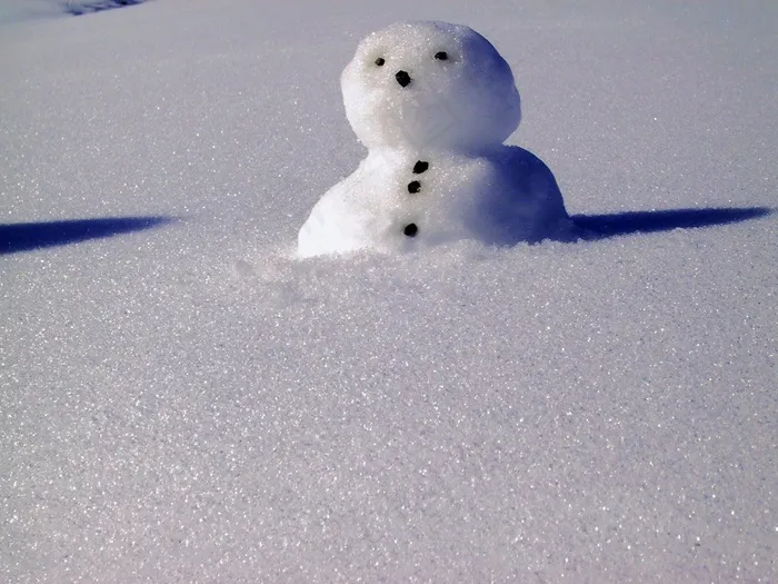 雪，雪人，冬天，雪人，冷，白，寒冬