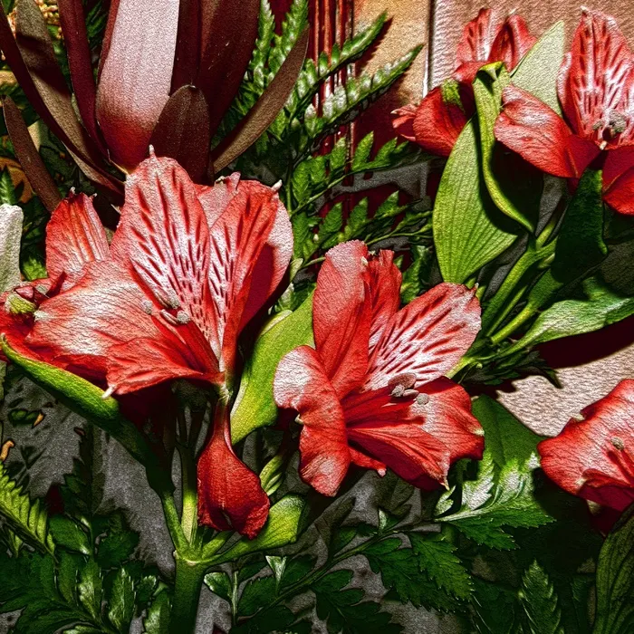 背景，鲜花，花束，植物