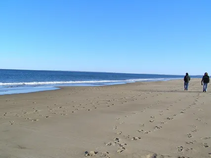 海滩，步行，太阳，冬天，天空，景观，人
