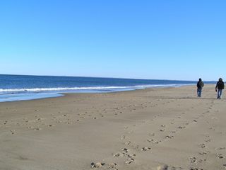 海滩，步行，太阳，冬天，天空，景观，人