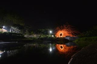 鹿茸，生活方式，火，景观，自然，户外