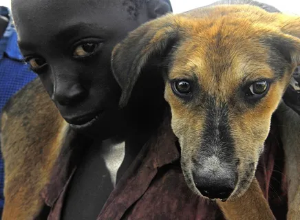 少年，狗，男性，男孩，动物，兽医，兽医