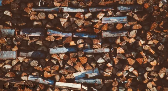 木，原木，木材，木材，工业，伐木