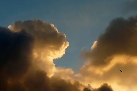 云，暴风云，日落，天空，鸟，海鸥