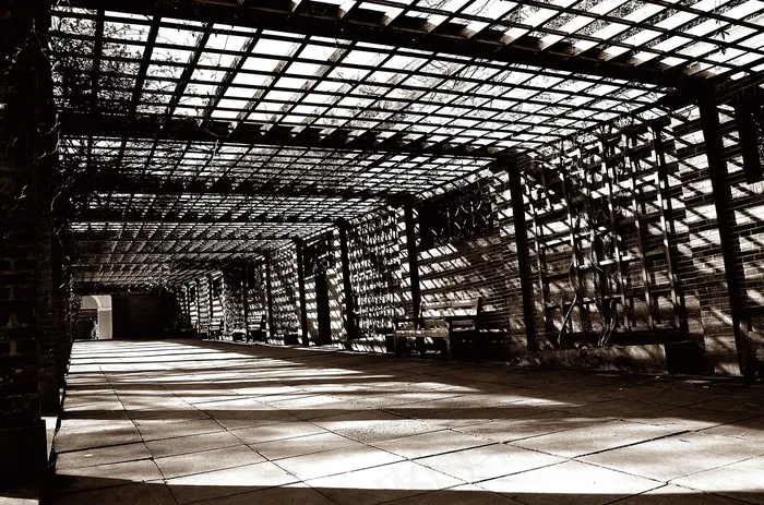 休闲，长凳，坐，海滨长廊，建筑