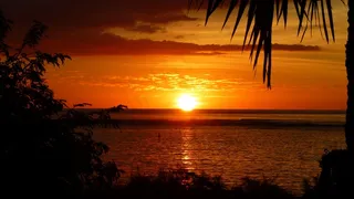 日落，余辉，傍晚的天空，天空，剪影，棕榈