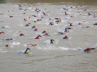 比赛，爬网，参与，游泳