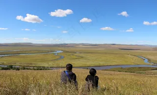 草原，风景，景观，上，放松，肖像