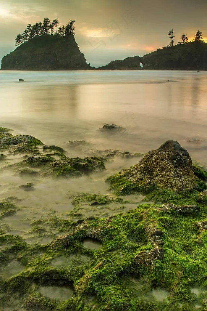 生活，美女，场面，海洋，海岸，海滩，大海，潮