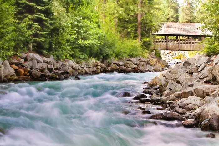 溪流，水，流，性质，溪，流，公园