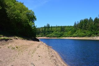 Trenchford，水库，阳光明媚，水，景观，蓝色
