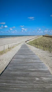 海滩,北海,离,上坡,观点,荷兰 海滩,北海,离,上坡,观点,荷兰