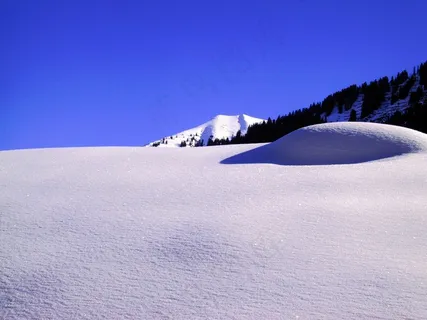 树木，冰，冰，Eiskristalle，弗罗斯特，冻结，天空