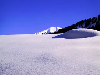 树木，冰，冰，Eiskristalle，弗罗斯特，冻结，天空
