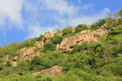 山,绿色,植物,岩石,石头,洛基 山,绿色,植物,岩石,石头,洛基