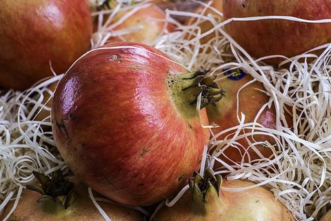 格拉纳达，水果，奇花异草，防锈