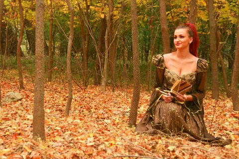 女孩，公主，秋，叶子，黄色，森林，作家