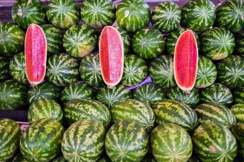 西瓜,石莱西瓜,南瓜,西瓜图,甜瓜,西瓜