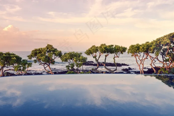 海洋,椰子树,天空,雪树银花,湖泊,热带游泳池海