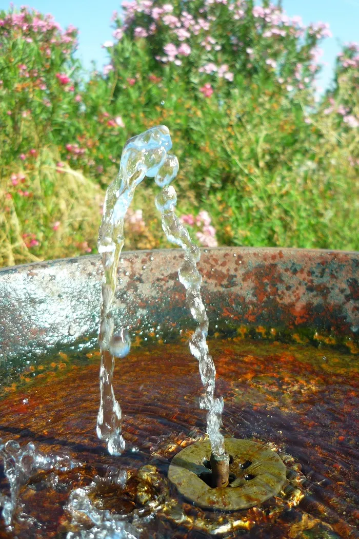 源，水，喷射，供应商，铸件，氧化物，鲜花