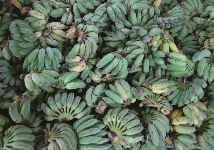 车前草，香蕉，水果，食品，健康