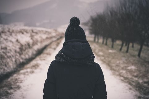 冬季，大衣，帽子，胡德，转矩，人，路径，西红柿，荷兰芹