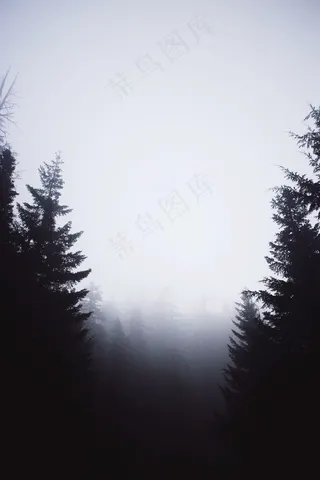 树,山峦,天空,雨雾,云雾,森林黑暗神秘树木