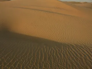沙漠，沙丘，沙丘，迪拜，阿拉伯联合酋长国，撒哈拉沙漠