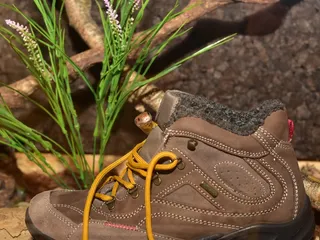 玉米蛇，远足鞋，皮革，舌，蛇